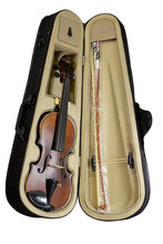 Load image into Gallery viewer, 3/4 Size Student Violin Ensemble - Matte Finish