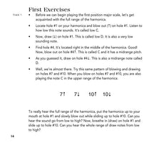 Load image into Gallery viewer, PLAY TODAY HARMONICA KIT